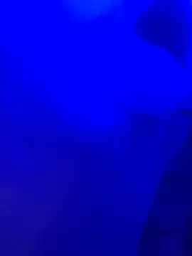 Dammianmiller online show from February 24, 3:26 am