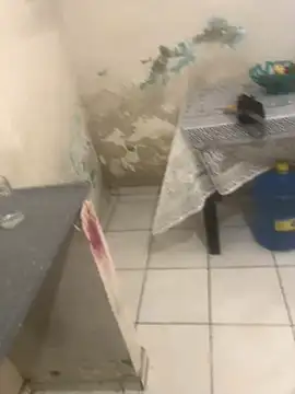 -  gozada online show from October 3, 12:02 pm