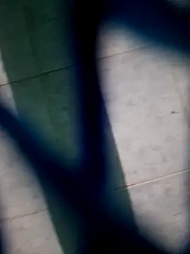 Snapshot of Neilhot98 chatting on November 16, 7:03 am Neilhot98 online show from November 16, 7:03 am