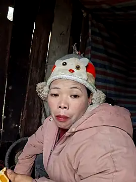 miomio-12 online show from January 7, 12:46 am