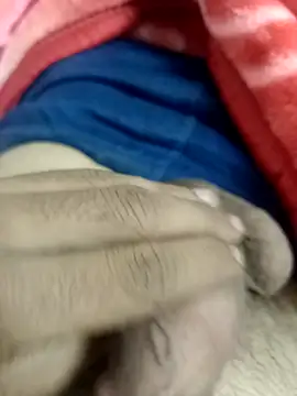 pn12345 online show from November 8, 4:40 pm