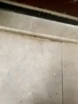 pn12345 online show from December 5, 4:10 am