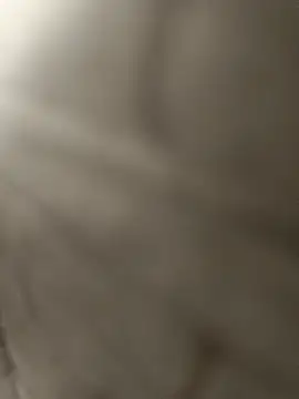 pn12345 online show from December 15, 3:33 am