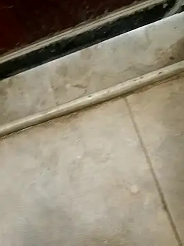 pn12345 online show from December 18, 3:01 am