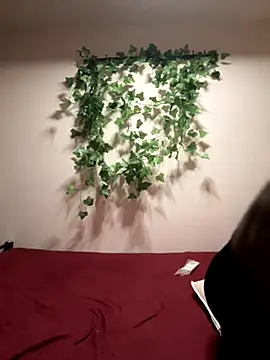 Chennai Fire online show from November 23, 10:26 am