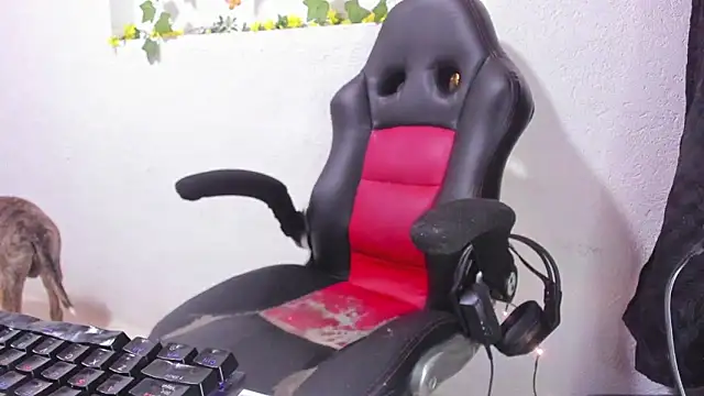 Snapshot of soffycarter1 chatting on November 25, 11:16 pm soffycarter1 online show from November 25, 11:16 pm