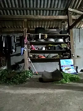 jerry-xx online show from April 19, 10:14 am