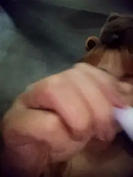 Snapshot of Rabbit-small chatting on March 20, 4:12 pm Rabbit-small online show from March 20, 4:12 pm