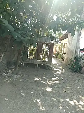 Snapshot of SL_BEAR chatting on March 26, 4:18 am SL BEAR online show from March 26, 4:18 am