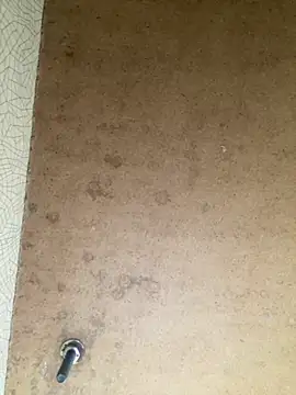 Vita6777 online show from November 19, 5:18 am