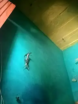 Snapshot of Rt_shreya chatting on November 21, 6:45 am Rt shreya online show from November 21, 6:45 am