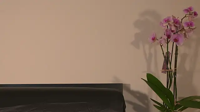 AbrilColls  online show from March 15, 12:16 am