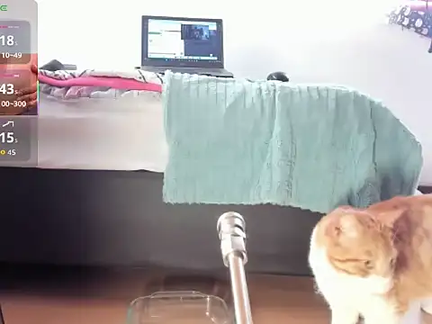 Snapshot of __Aragon__ chatting on November 4, 2:38 pm Aragon online show from November 4, 2:38 pm