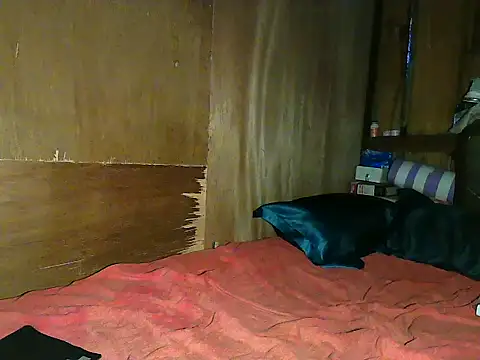 wildcat30 online show from November 1, 10:23 pm