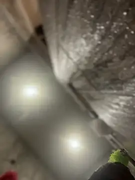 queenkelly1234 online show from February 16, 12:56 pm