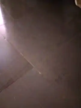 svk 05 online show from October 14, 11:22 am