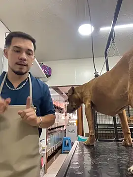 Snapshot of Leonardmoppet chatting on November 5, 7:14 pm Leonardmoppet online show from November 5, 7:14 pm