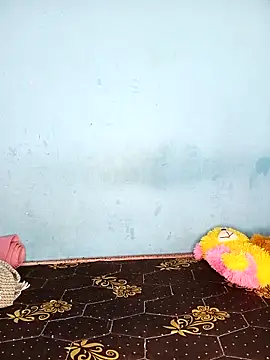 Deepa telugu online show from April 21, 9:48 am