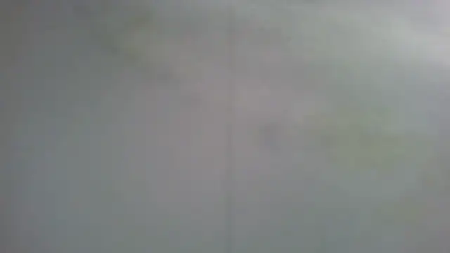 zaubermaeuschen66 online show from December 2, 10:42 am