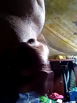 Cogelonregio online show from February 9, 2:10 pm