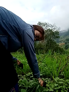 Snapshot of omai-ngot chatting on October 26, 1:22 am omai-ngot online show from October 26, 1:22 am