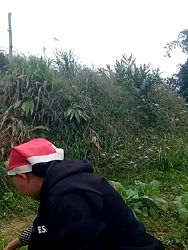 nui-show online show from November 22, 6:01 am