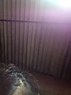 M-MAYA online show from December 2, 5:41 pm