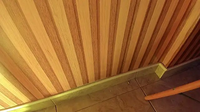 mia  blaze   online show from December 20, 3:02 am