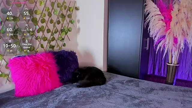 maddysonn 222 online show from November 21, 9:13 pm