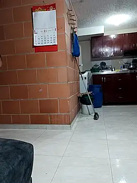 Snapshot of AmeliHoney chatting on November 28, 4:37 am AmeliHoney online show from November 28, 4:37 am