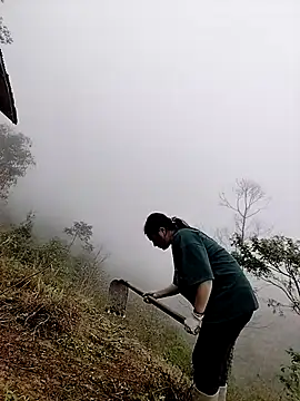 Sinhlinh2020 online show from March 23, 2:48 am