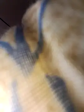 Snapshot of misskelly77 chatting on October 25, 6:43 am misskelly77 online show from October 25, 6:43 am