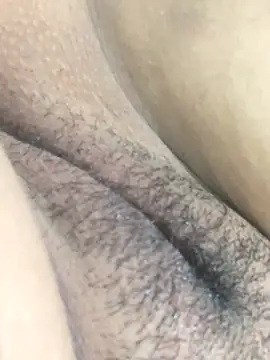  4 gozada online show from October 31, 6:31 pm