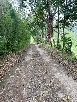 motomotoboy online show from March 5, 6:48 pm