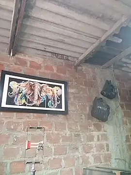 Mijoche9 online show from January 16, 4:00 pm