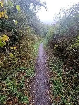 bbyxklaus online show from October 20, 11:43 am