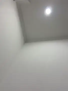 violeta365 online show from April 11, 3:00 am