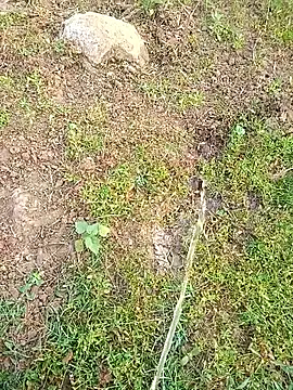 kumarstelugu online show from January 16, 2:59 am