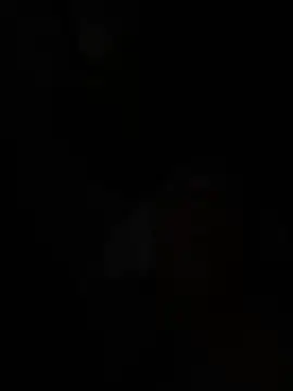 wellingtonmds online show from February 7, 1:26 pm