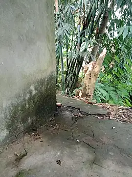 Bear bear0 online show from November 8, 1:50 am