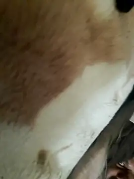 Perfect size online show from November 20, 8:58 am