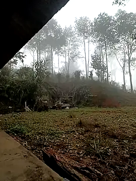 Snapshot of sowbibi chatting on December 15, 2:16 am sowbibi online show from December 15, 2:16 am