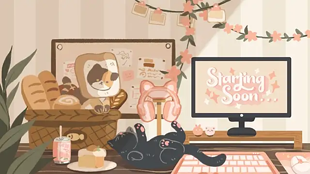 Snapshot of geekycastillo chatting on November 26, 3:51 am geekycastillo online show from November 26, 3:51 am