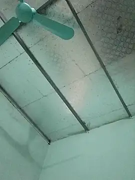  LAN  online show from October 24, 1:35 am