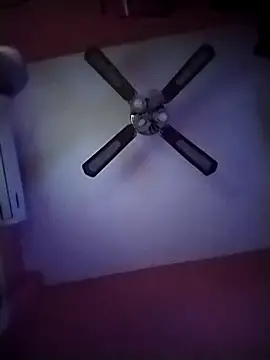 Snapshot of Danii2005 chatting on November 12, 6:52 pm Danii2005 online show from November 12, 6:52 pm