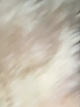 Irin jo online show from February 2, 12:42 am