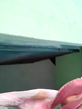 Snapshot of Bhumika_Love chatting on November 11, 11:21 am Bhumika Love online show from November 11, 11:21 am