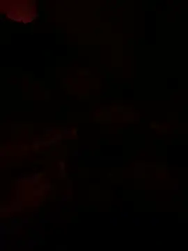 llllllllIIIll online show from March 9, 8:18 am