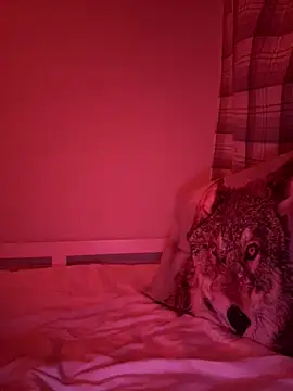 Janekat online show from February 6, 3:33 am