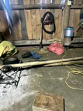 nachi-baby online show from December 14, 8:52 am